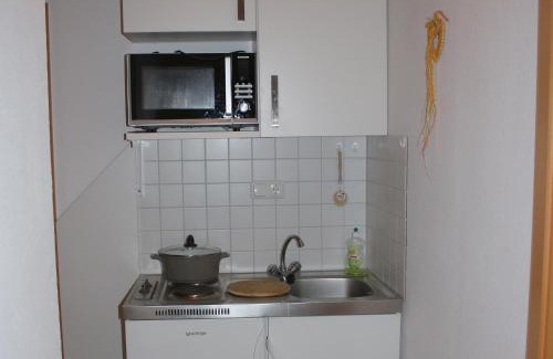 Bad Wildungen Apartment | Charmante Ferienwohnung mit Garten in Hüddingen