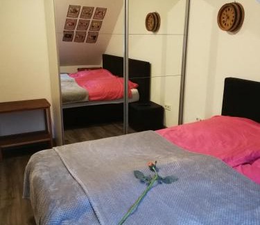 Sankt Wendel Apartment | Charmante Wohnung im Stadtkern, St Wendel