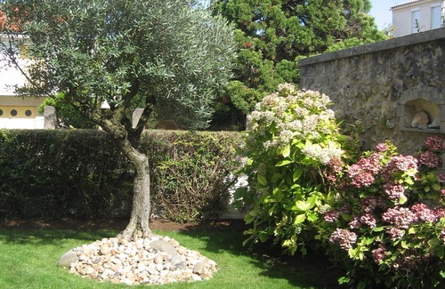 Saint-Georges-de-Didonne Apartment | Charming studio for 2 people with terrace 100 meters from the sea and the beach