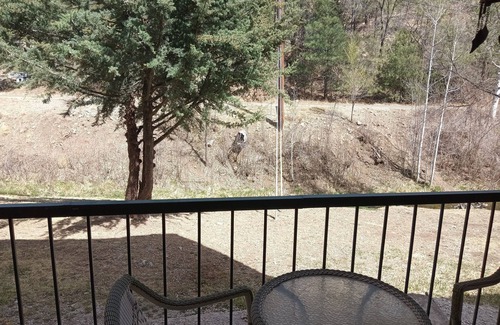 Ruidoso Condo | Charming 1-bedroom condo in superb Ruidoso with WiFi, AC