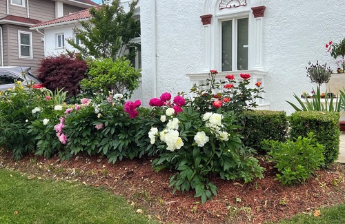 St. Leonard's Tract Apartment | Charming 1 bedroom apt in the prestigious St. Leonard’s Tract of Ventnor Beach