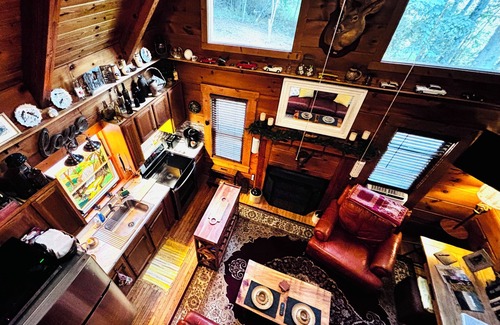 Franklin Cabin | Charming 2-bed Cozy Cabin w/WiFi, AC & centrally located between three Mtn towns