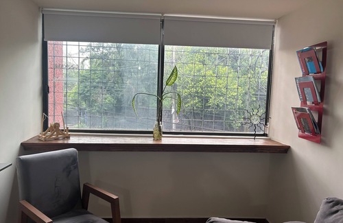 Coyoacan Apartment | Charming 2-bedroom apt in Ciudad de México near Médica Sur Hospital and Stadium