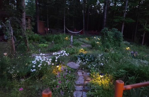 Vanderbilt Cabin | Charming 2-bedroom cabin in delightful Vanderbilt with WiFi, AC