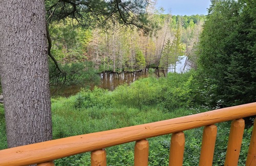 Vanderbilt Cabin | Charming 2-bedroom cabin in delightful Vanderbilt with WiFi, AC