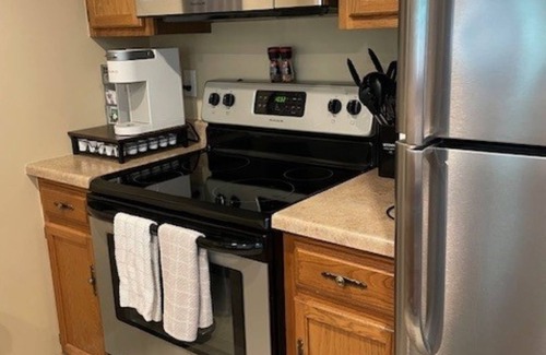 The Galena Territory Condo | Charming 2-Bedroom Condo in Scenic Galena, IL – Perfect for Relaxing Getaways!