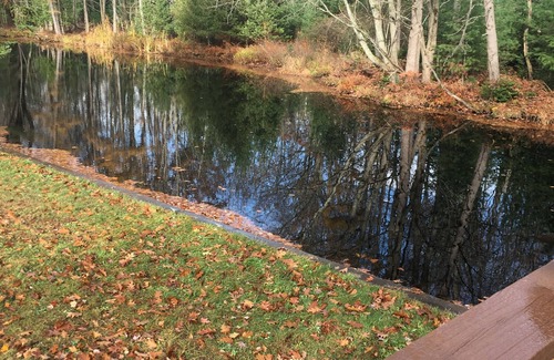 Cadillac Cottage | Charming 2-bedroom cottage on Lake Mitchell in Cadillac with WiFi