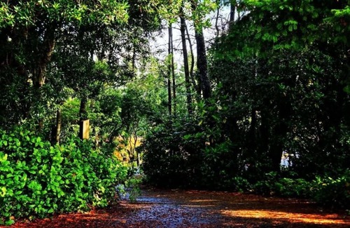 Florence Cottage | Charming 2-bedroom cottage near Heceta Beach