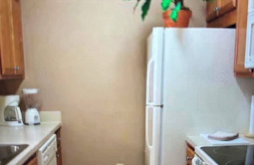 Lackey Condo | Charming 2-bedroom condo in pleasant Williamsburg with WiFi, AC, fitness room