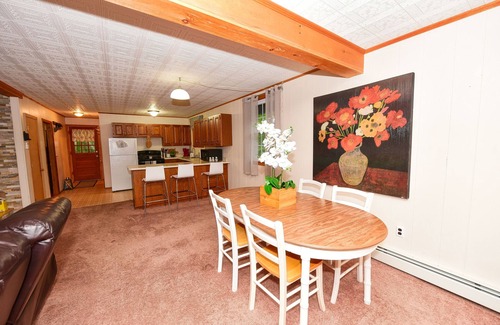Eidelweiss Village House | Charming 4-Season Getaway w/Outdoor Fire Pit & Basement Game Room!