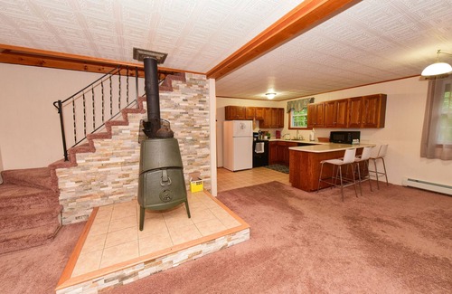 Eidelweiss Village House | Charming 4-Season Getaway w/Outdoor Fire Pit & Basement Game Room!