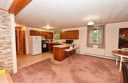 Eidelweiss Village House | Charming 4-Season Getaway w/Outdoor Fire Pit & Basement Game Room!
