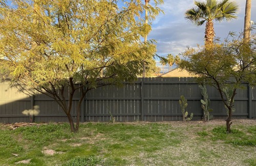 Tucson House | Charming and private guesthouse in the heart of Tucson