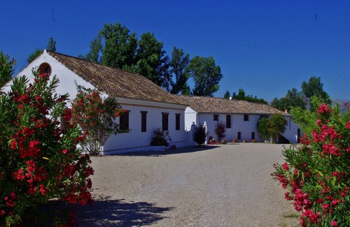 Ronda House | Charming Andaluz holiday home with big pool near Ronda