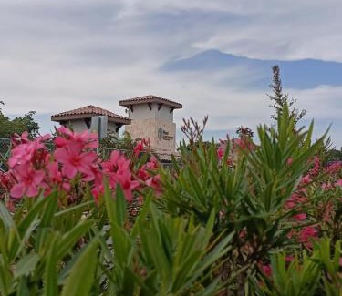 Puerto Juarez Apartment | Charming Apartment HOEStel Reiden!