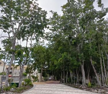 Puerto Juarez Apartment | Charming Apartment HOEStel Reiden!
