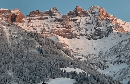 Val d'Illiez Apartment | Charming apartment located opposite the Dents du Midi