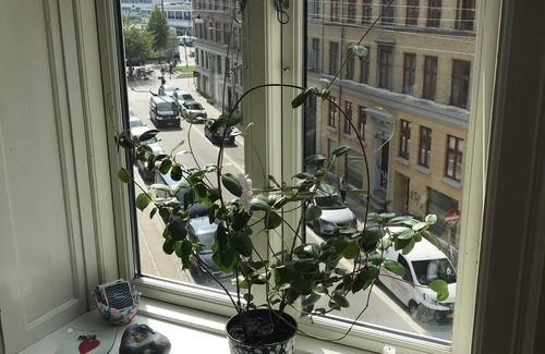 København V Condo | Charming Apartment near by Central Station.