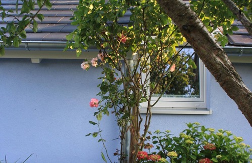 Egg Apartment | Charming apartment in Constance