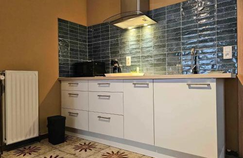 Mons Apartment | Charming apartment in Mons 40 m² with private parking
