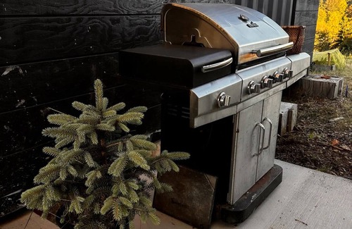 Littlerock Cabin | Charming cabin in Olympia with AC - perfect for a peaceful getaway