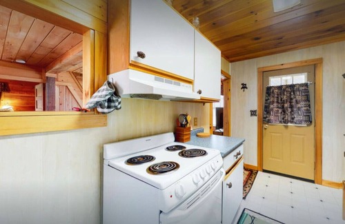 Greenville Cabin | Charming Cabin with Wood Stove, Fire Pit and Porch!
