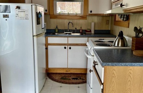 Greenville Cabin | Charming Cabin with Wood Stove, Fire Pit and Porch!