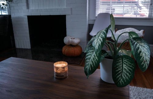 Stockton House | Charming Central House