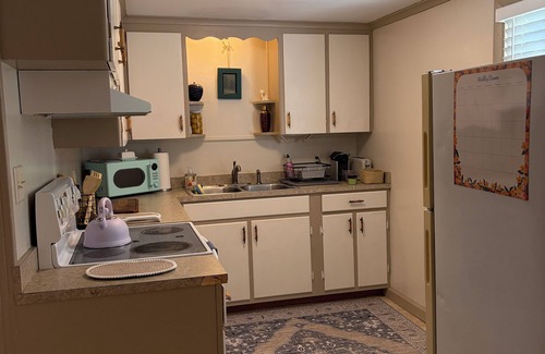 Kalamazoo Apartment | Charming, comfortable 1 Bedroom/1Bath on gorgeous historic street.