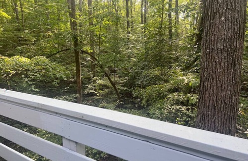 Westminster Apartment | Charming Condo By Lake Hartwell
