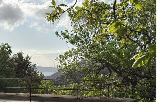 Barbaggio House | CHARMING CORSICAN HOUSE