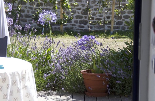 Poulgoazec House | Charming cottage with sea view