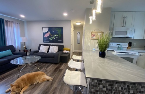 Downtown House | Charming Downtown Sarasota Cottage- near Legacy Trail and 10 min to beach!