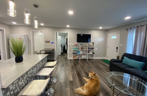 Downtown House | Charming Downtown Sarasota Cottage- near Legacy Trail and 10 min to beach!