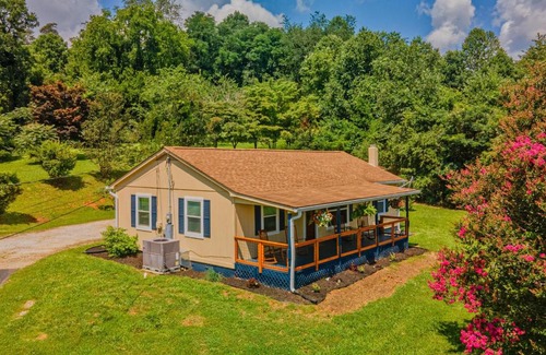 Dandridge House | Charming Family Lakeview Cottage 3 min to lake