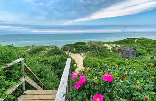 Nantucket Town Cottage | Charming Historic Downtown Cottage