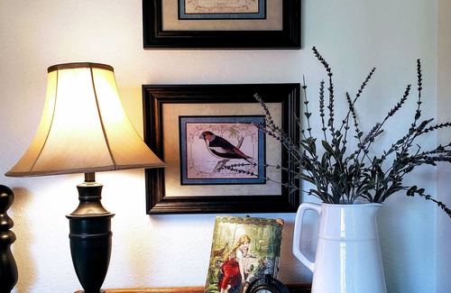 Mountain View House | Charming home on the White River - escape & enjoy Arkansas’s great outdoors!