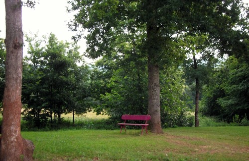 Cenac-et-Saint-Julien House | Charming house near Sarlat Dordogne Valley