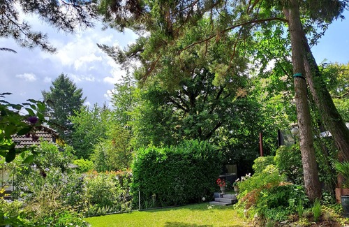 Steinbach House | Charming House in the Taunus