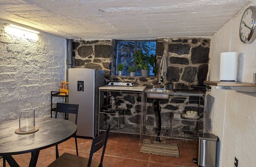 Coyoacan Apartment | Charming Industrial Apartment