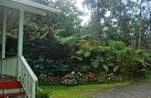 Kailua-Kona Cottage | Charming Kaloko Mountain Cottage with hot tub - private,secluded and cozy!