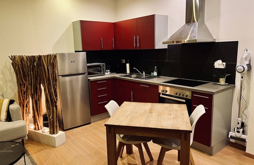 Mulhouse Apartment | Charming little Loft Mulhouse center