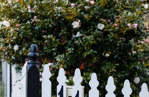 Blackheath Cottage | Charming Mountain Cottage- Pet Friendly