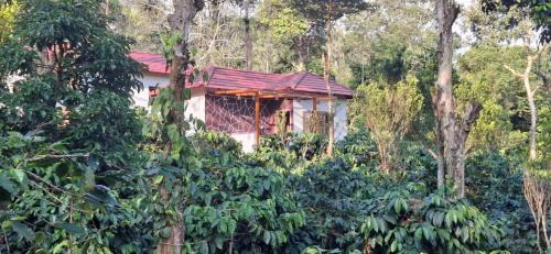 Bittangala House | Charming Nest