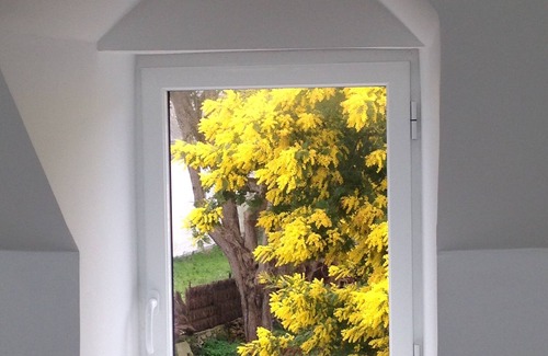 Locmariaquer House | Charming renovated house, quiet and close to the beaches, with large garden