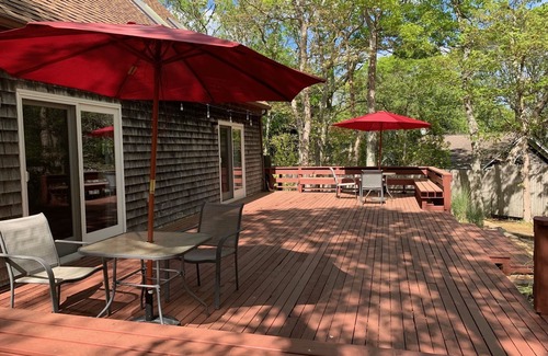 Vineyard Haven House | Charming salt box in quiet woodsy neighborhood - centrally located!