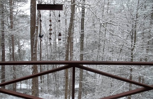 Brevard Cottage | Charming Sherwood Forest Cottage overlooking Trout Lake