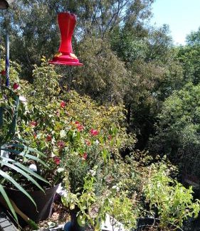 Hipodromo House | Charming sunny bedroom overlooking beautiful Amsterdam Avenue in best Condesa area
