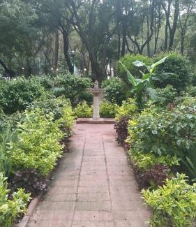 Hipodromo House | Charming sunny bedroom overlooking beautiful Amsterdam Avenue in best Condesa area