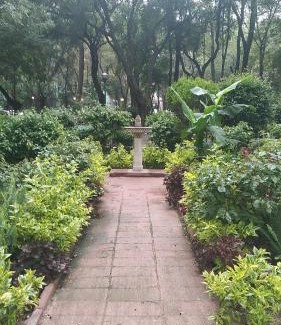 Hipodromo House | Charming sunny bedroom overlooking beautiful Amsterdam Avenue in best Condesa area